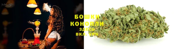 твердый Арсеньев