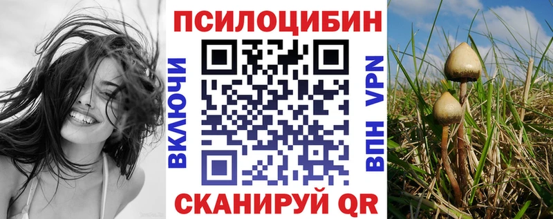 mega вход  Гуково  Галлюциногенные грибы Cubensis 